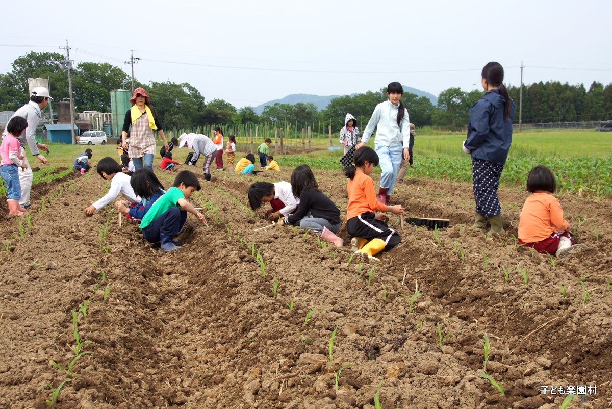 小学生「わくわく合宿」って？