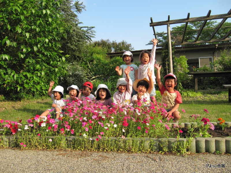 5月度ぴよっこ合宿レポート