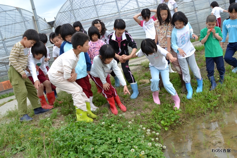 6月度わくわく合宿レポート