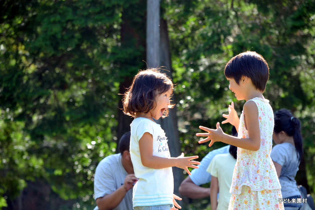 2011年夏の春日山楽園村感想文