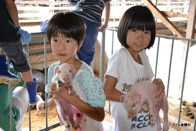 日記 5日目 春日山楽園村 小学生コース ヤマギシの子ども楽園村