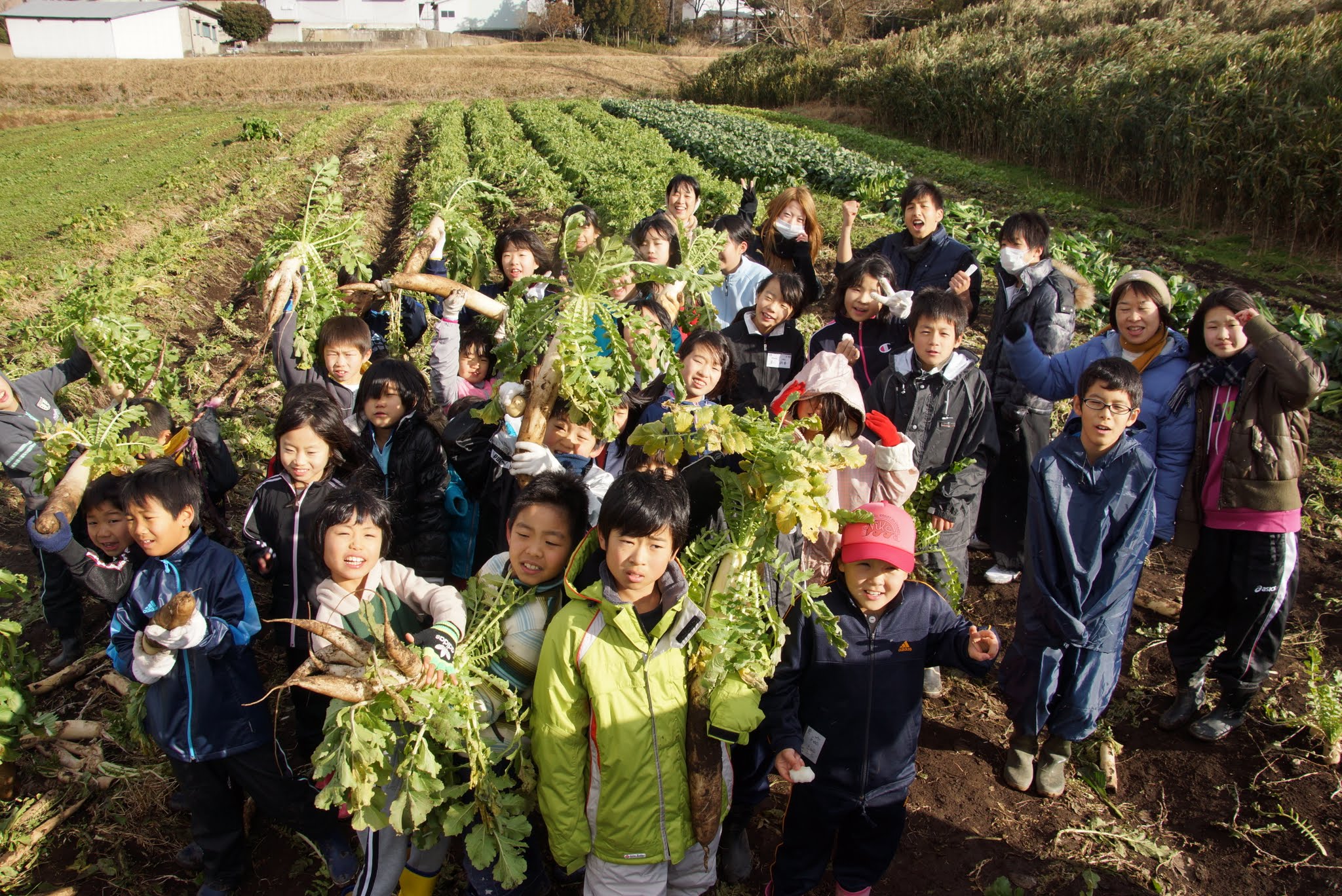 2012年冬の春日山楽園村感想文