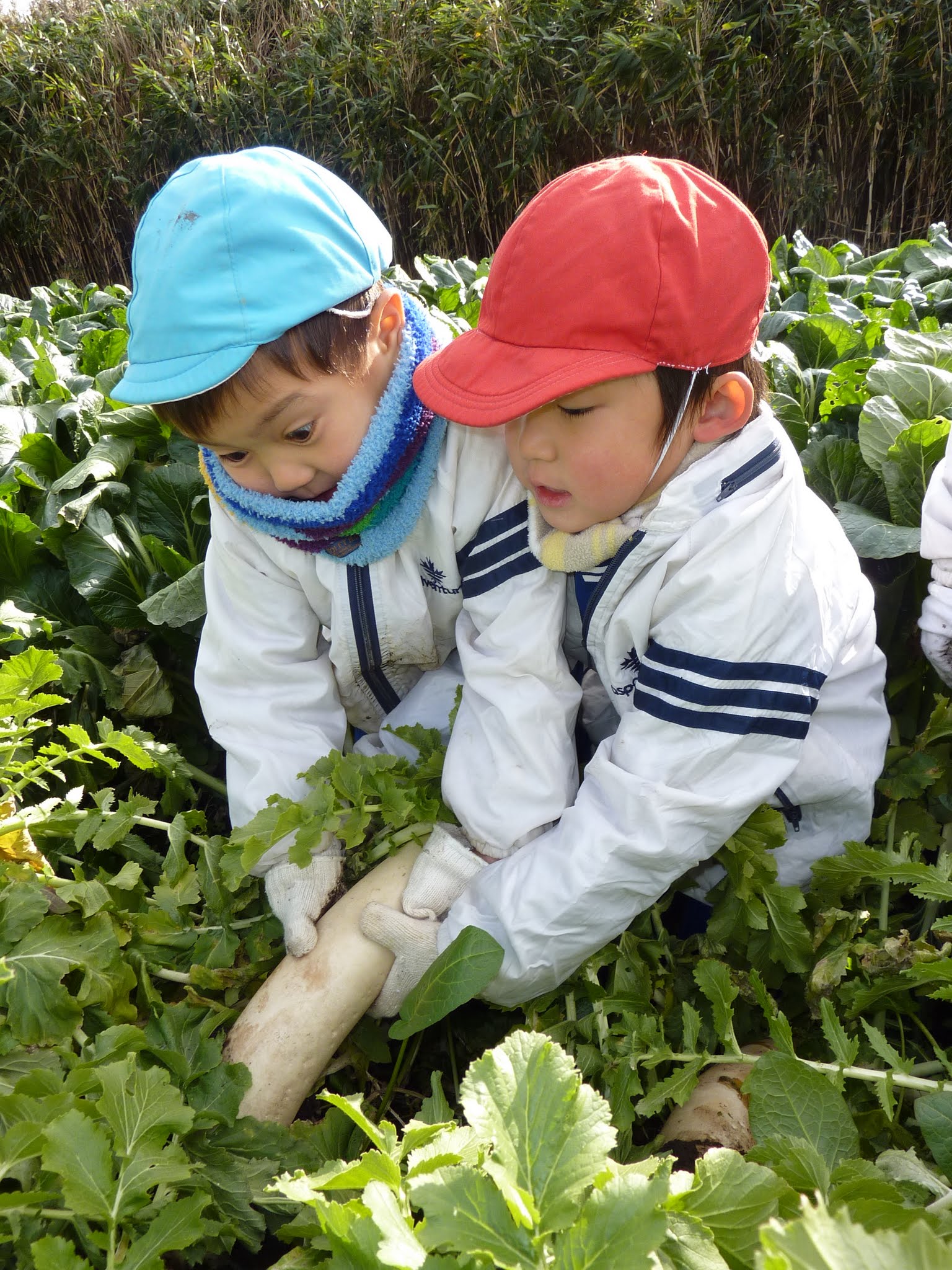 【Photo】2012年冬　幼年楽園村のようす