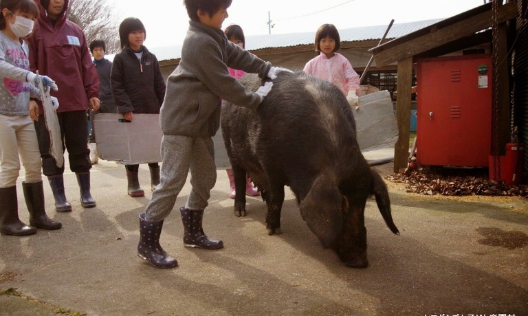 春の楽園村2015in春日山～感想文～