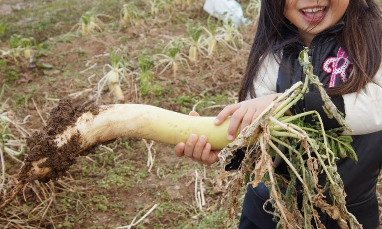 冬の楽園村in春日山フォト