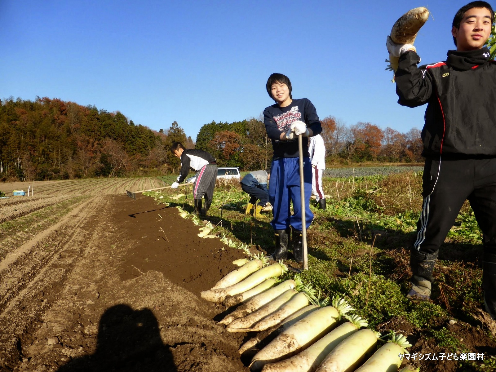 冬の楽園村2014in豊里フォトれぽーと