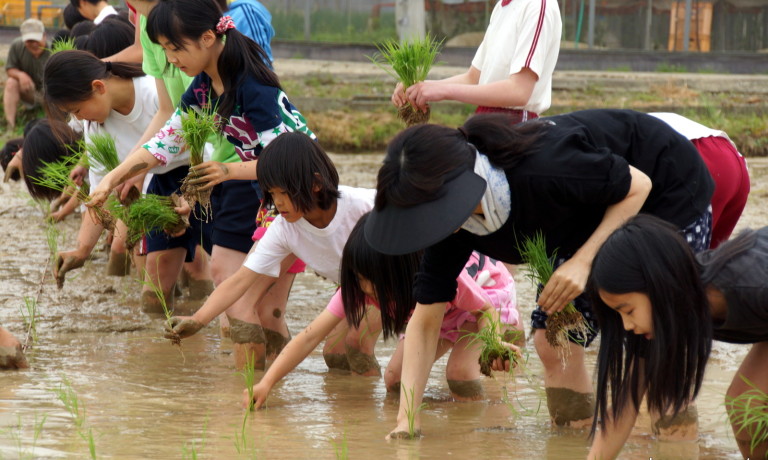 子ども合宿フォトれぽーと