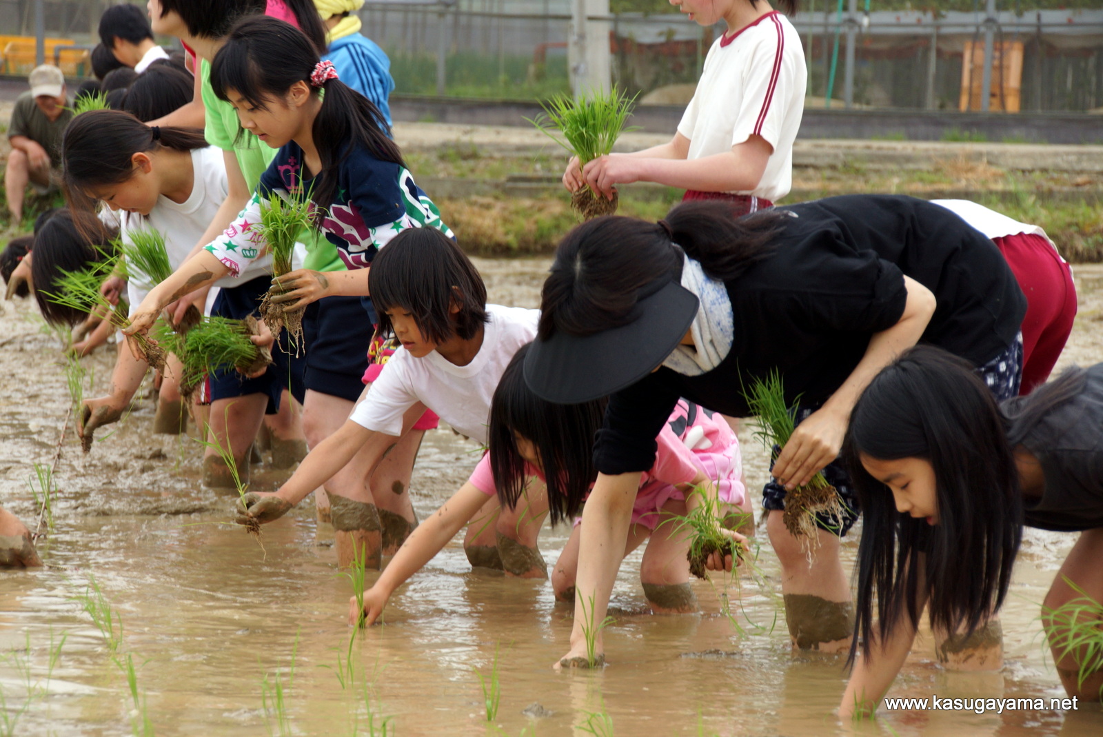 子ども合宿フォトれぽーと